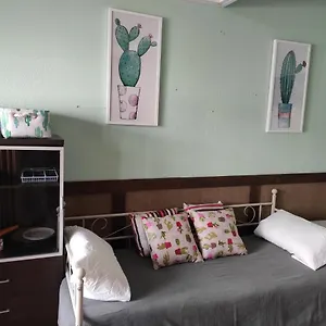  Apartamento Cactus Habit-loft A Pie De Calle Antiguo Garaje España